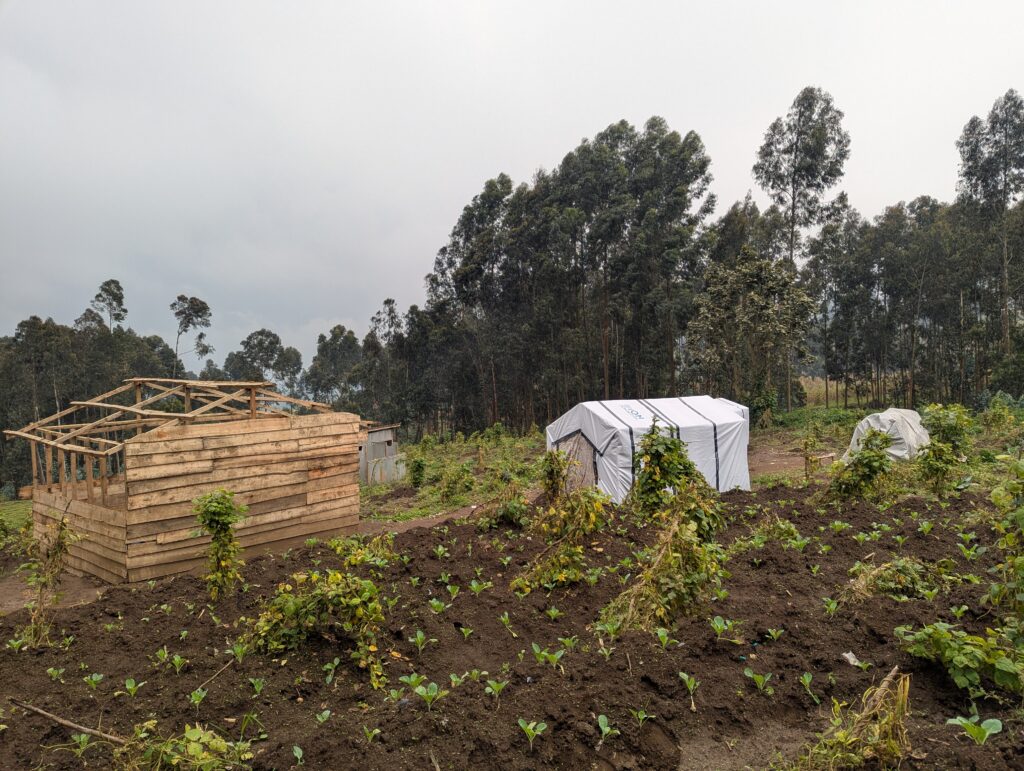 elikia agriculture resilience kibumba hope for life 13 01 2026 (16)