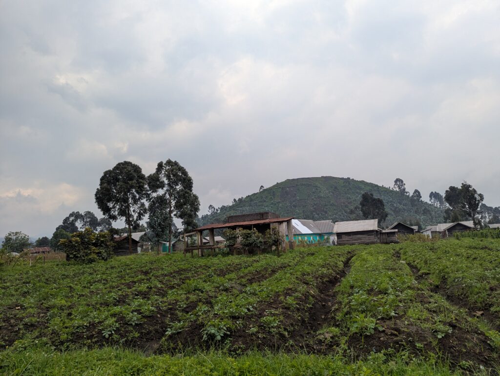 elikia agriculture resilience kibumba hope for life 13 01 2026 (50)